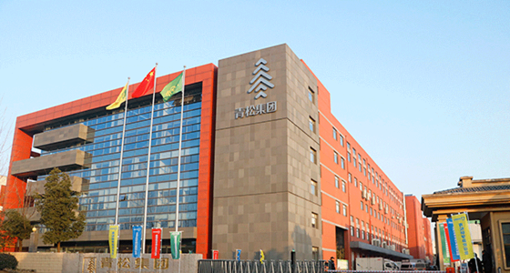 青松集團(tuán) 青松集團(tuán)